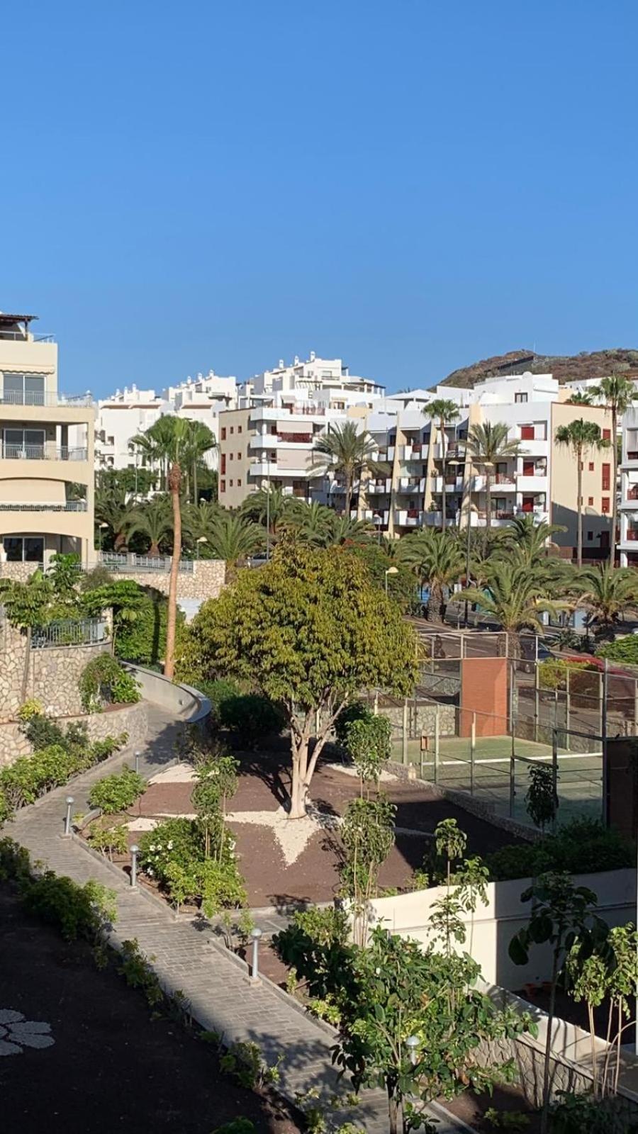 Apartamento Las Palmeritas Palm Mar Tenerife Sur Екстер'єр фото