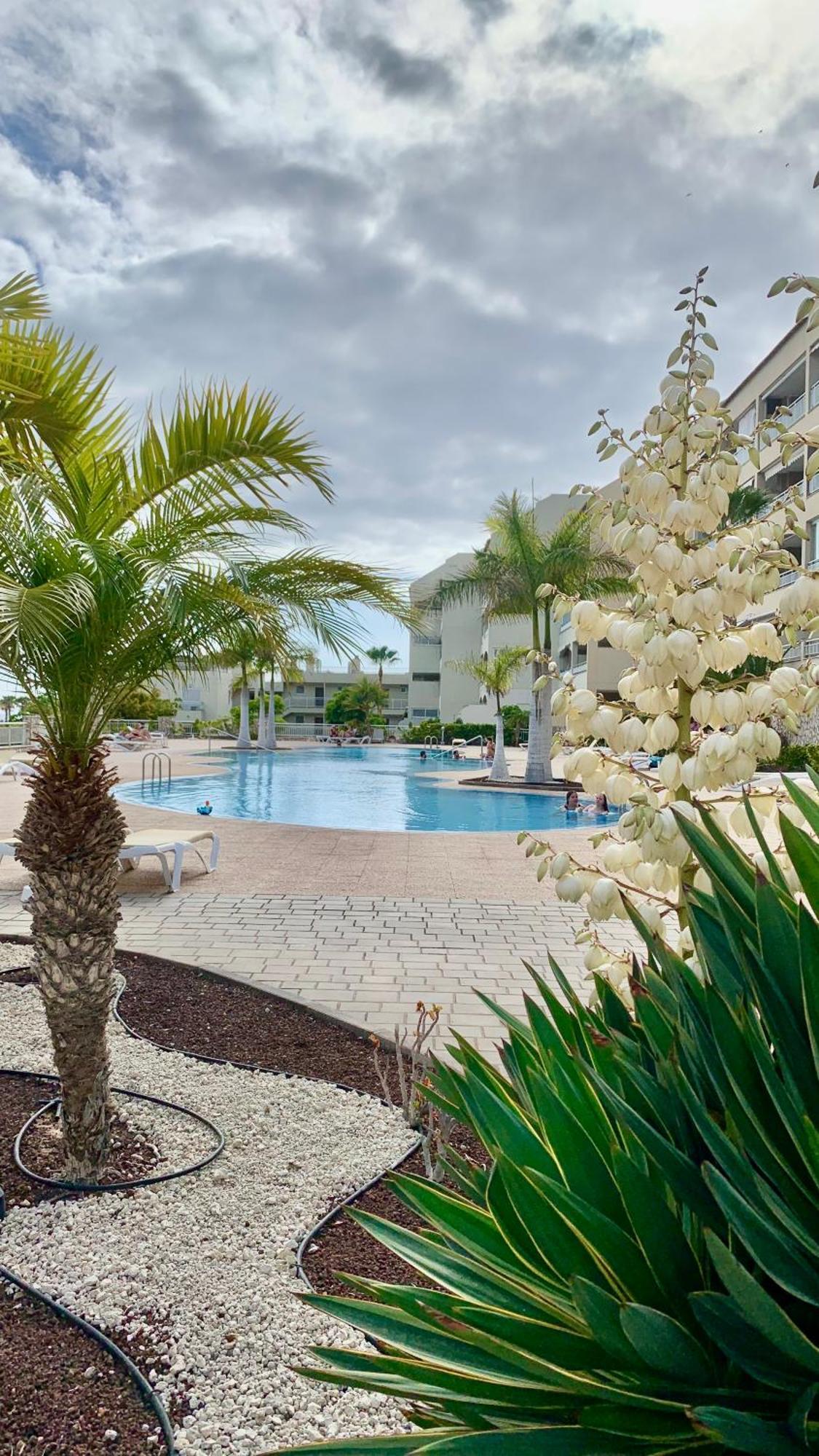 Apartamento Las Palmeritas Palm Mar Tenerife Sur Екстер'єр фото