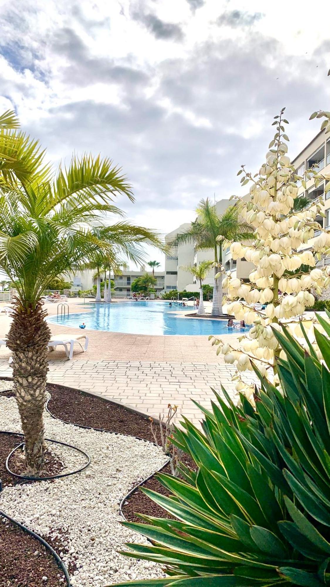 Apartamento Las Palmeritas Palm Mar Tenerife Sur Екстер'єр фото